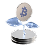 Eligible assets